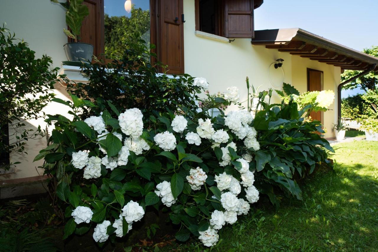 Alice Nel Paese Delle Meraviglie Gavardo Exterior foto